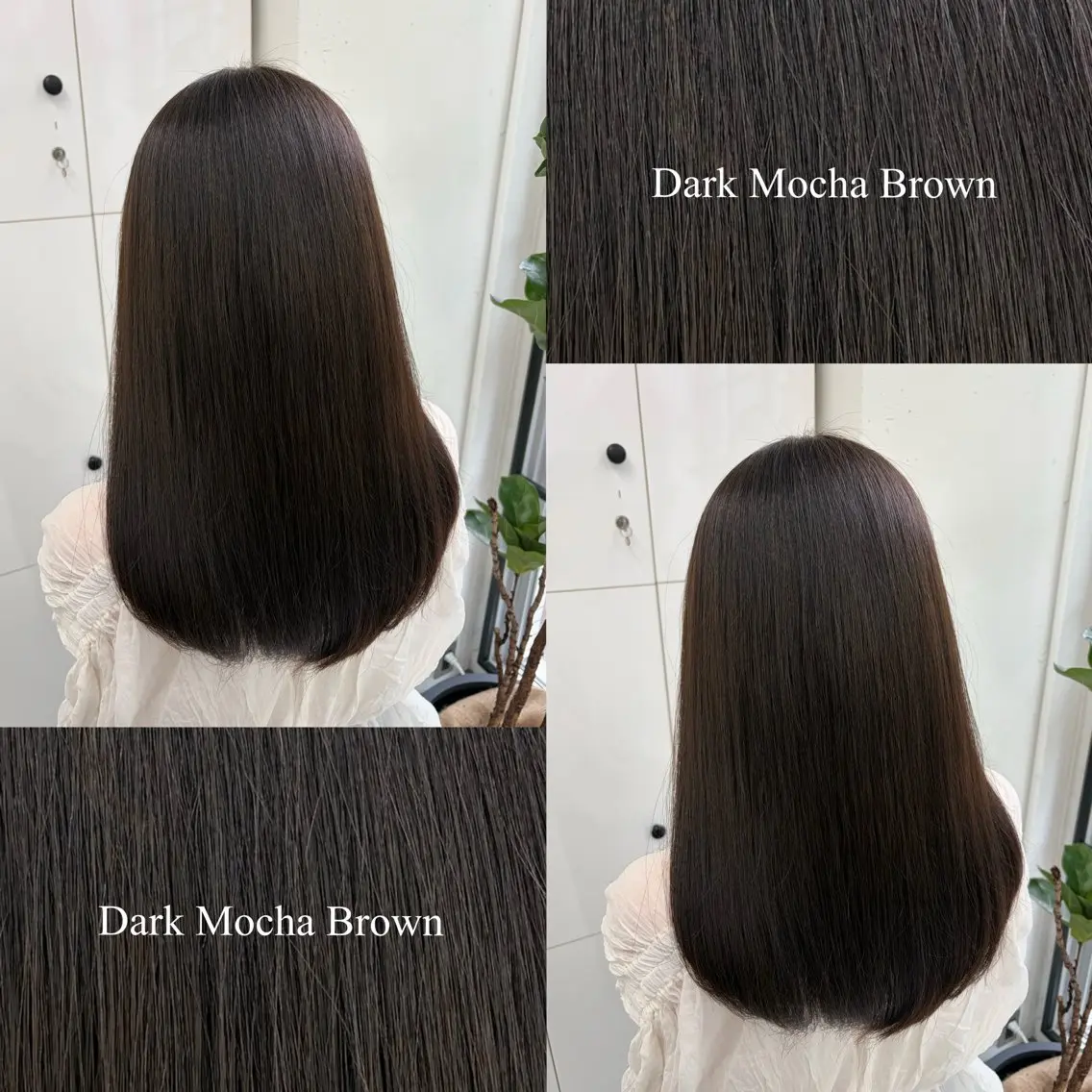 ミディアム カラー 黒髪 ブラウンカラー モカブラウン ナチュラルブラウン カット ヘアカラー 🍊あすか🍊 JILLSTUDIOのヘアスタイル