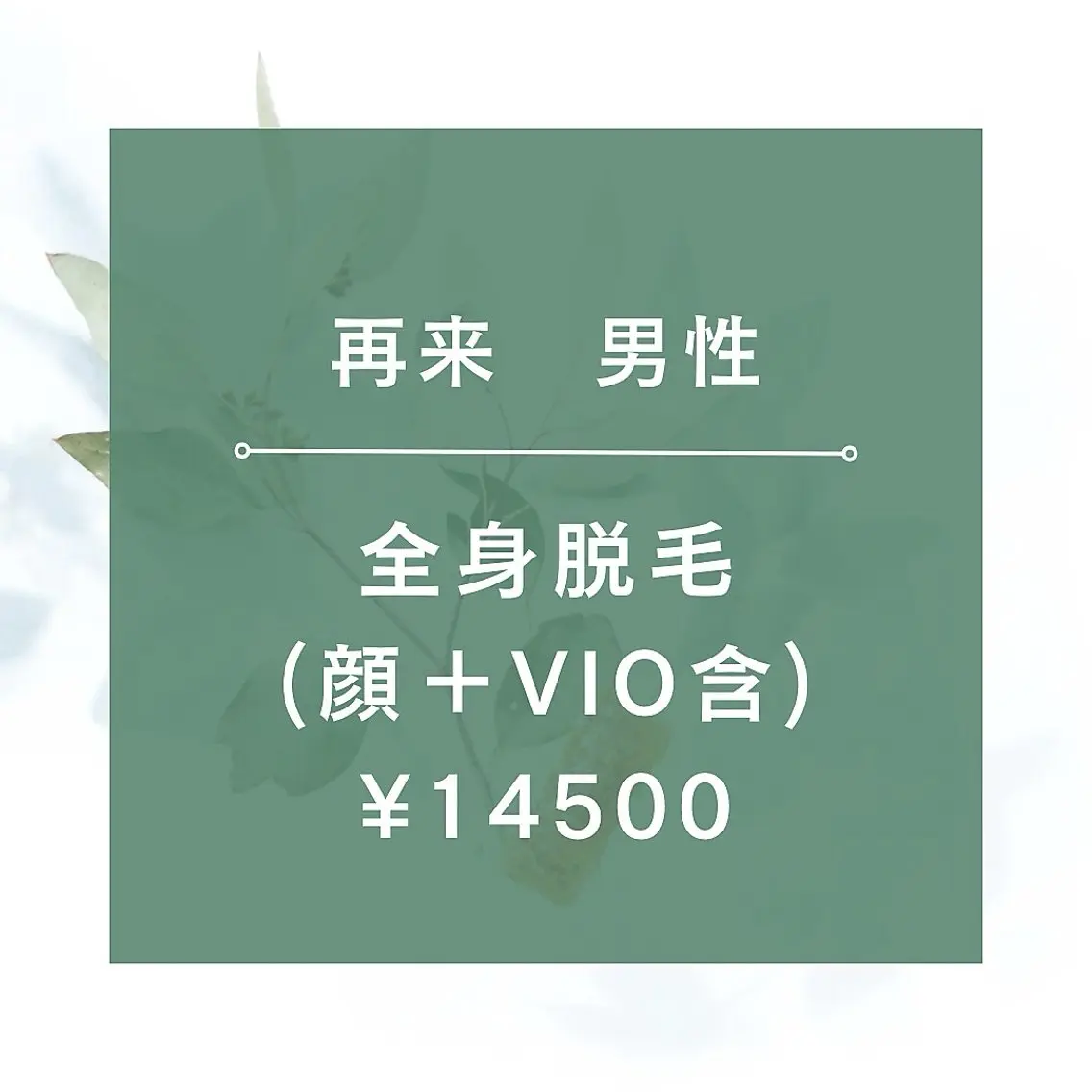 【再来男性】★☆全身脱毛(全顔+VIO含)¥14500★90分の写真