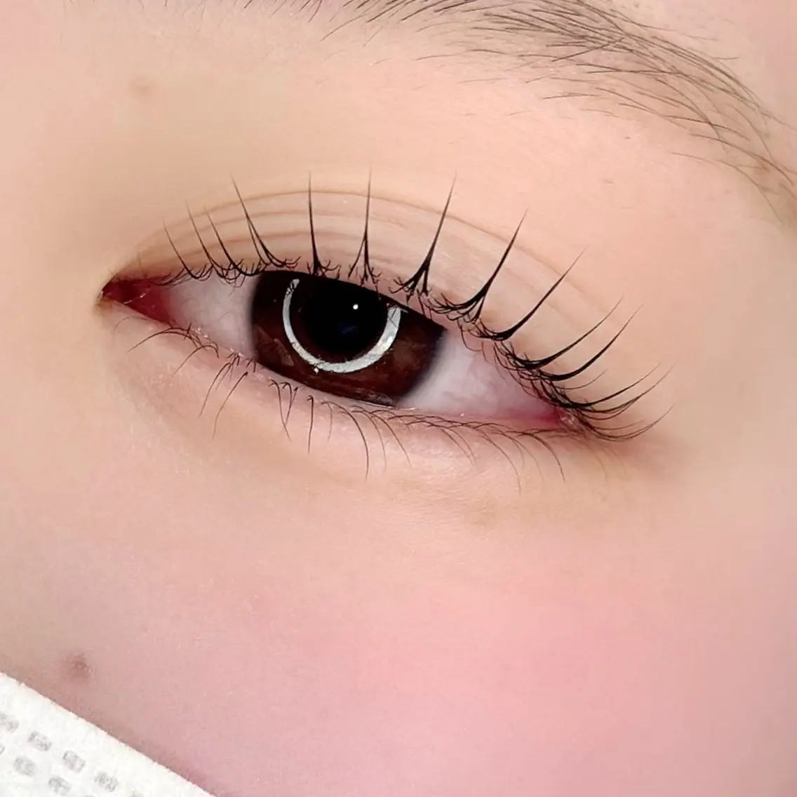 マツエク・マツパ ella eyelashのマツエク・マツパデザイン
