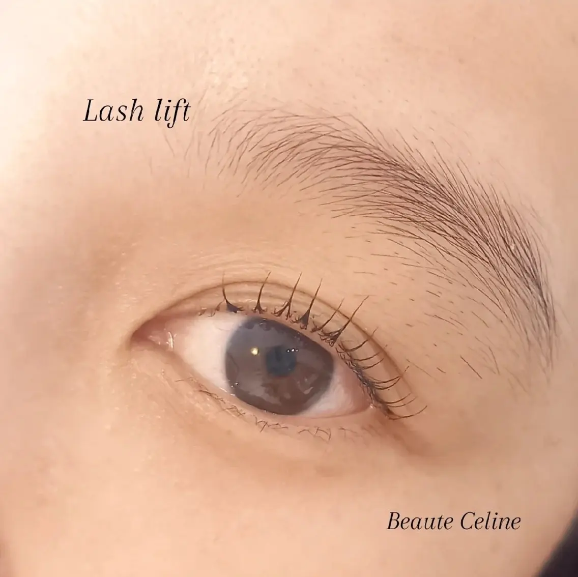 マツエク・マツパ 一重×まつ毛パーマ マツパ LED✨beaute Celine🌛🌹のマツエク・マツパデザイン