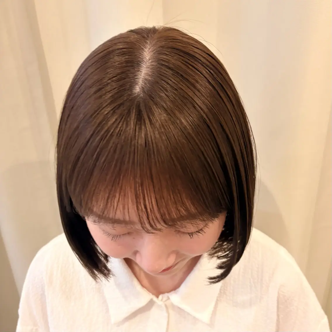 ワンカラーの写真
