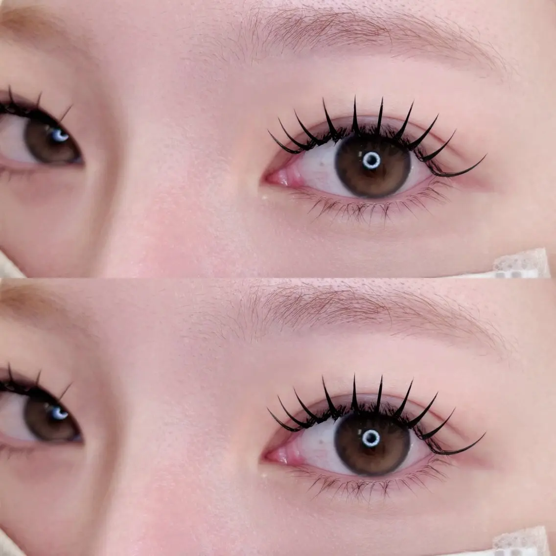 🦋LEDフラットラッシュ100本🦋LC.Lカールあり🪄の写真