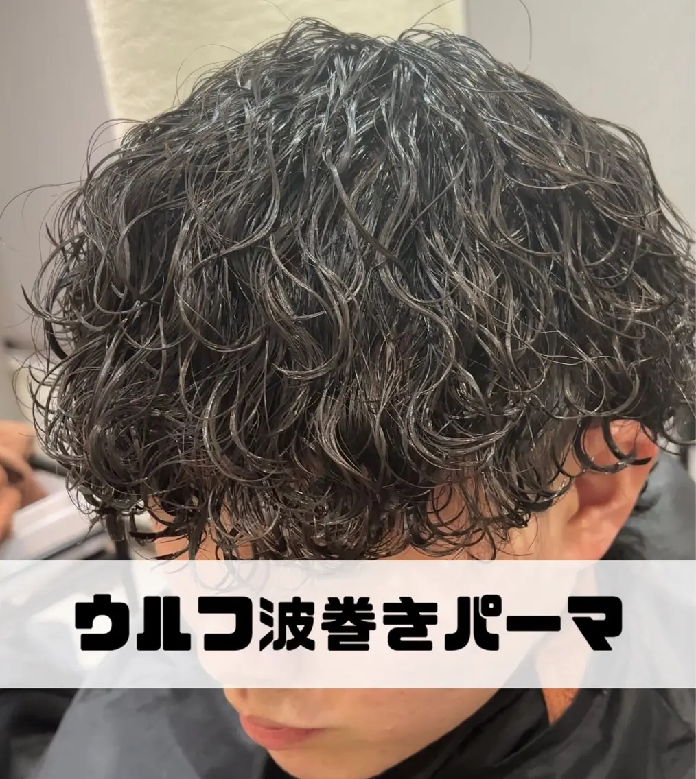カラー パーマ メンズ メンズパーマ 刈り上げ 波巻きパーマ メンズウルフカット ウルフカット メンズパーマ特化/ 建部蓮のヘアスタイル