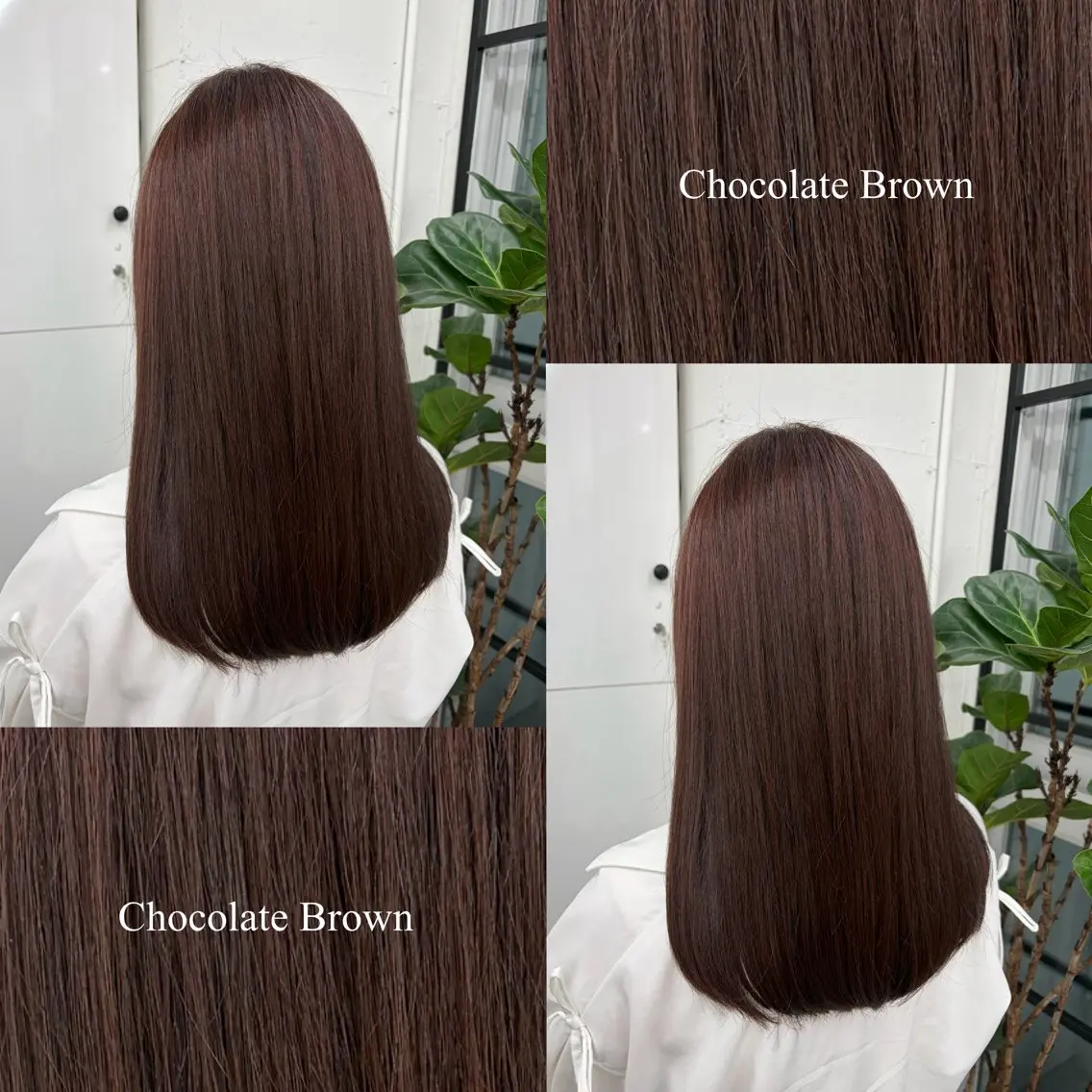 セミロング カラー ブラウンカラー ショコラブラウン チョコレートブラウン 透明感カラー カット ヘアカラー 🍊あすか🍊 JILLSTUDIOのヘアスタイル