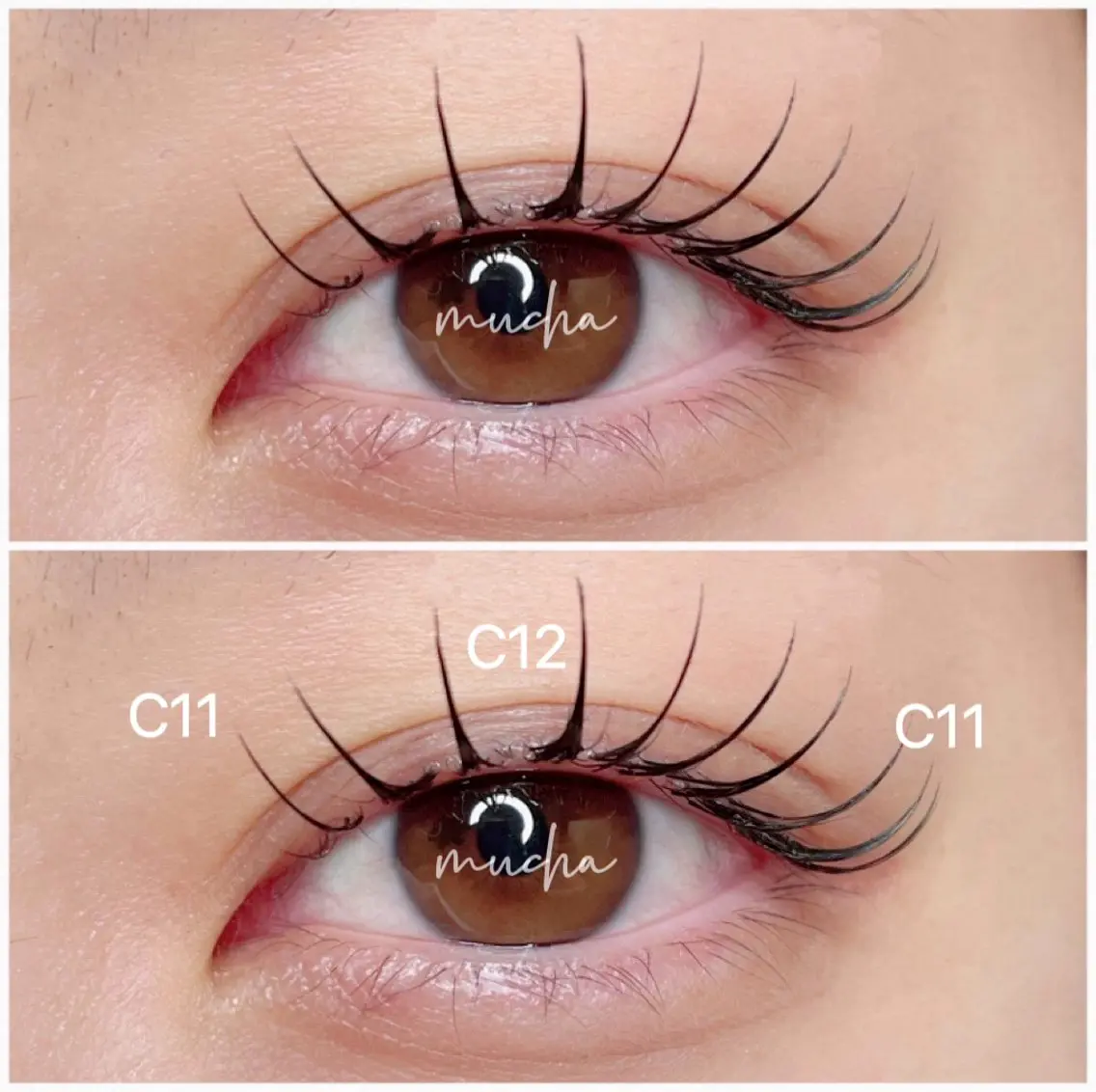 マツエク・マツパ Cカール フラットラッシュ マツエク eyelash muchaのマツエク・マツパデザイン