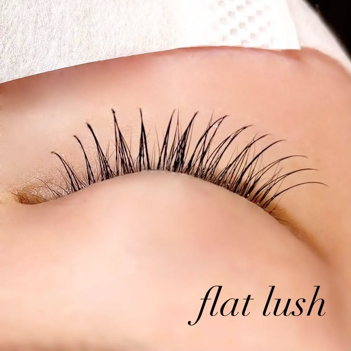 マツエク・マツパ フラットラッシュ マツエク Pupu lash ‪ ꪔ̤のマツエク・マツパデザイン