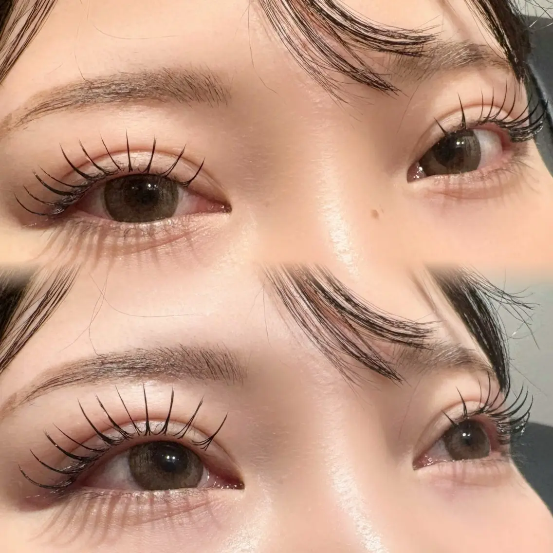 マツエク・マツパ FOXYLASH Hoichiの眉毛・アイブロウイメージ