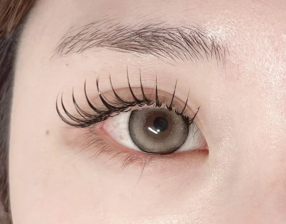 🌷パリエク・ダブルフラット80束まで(160本)✨の写真