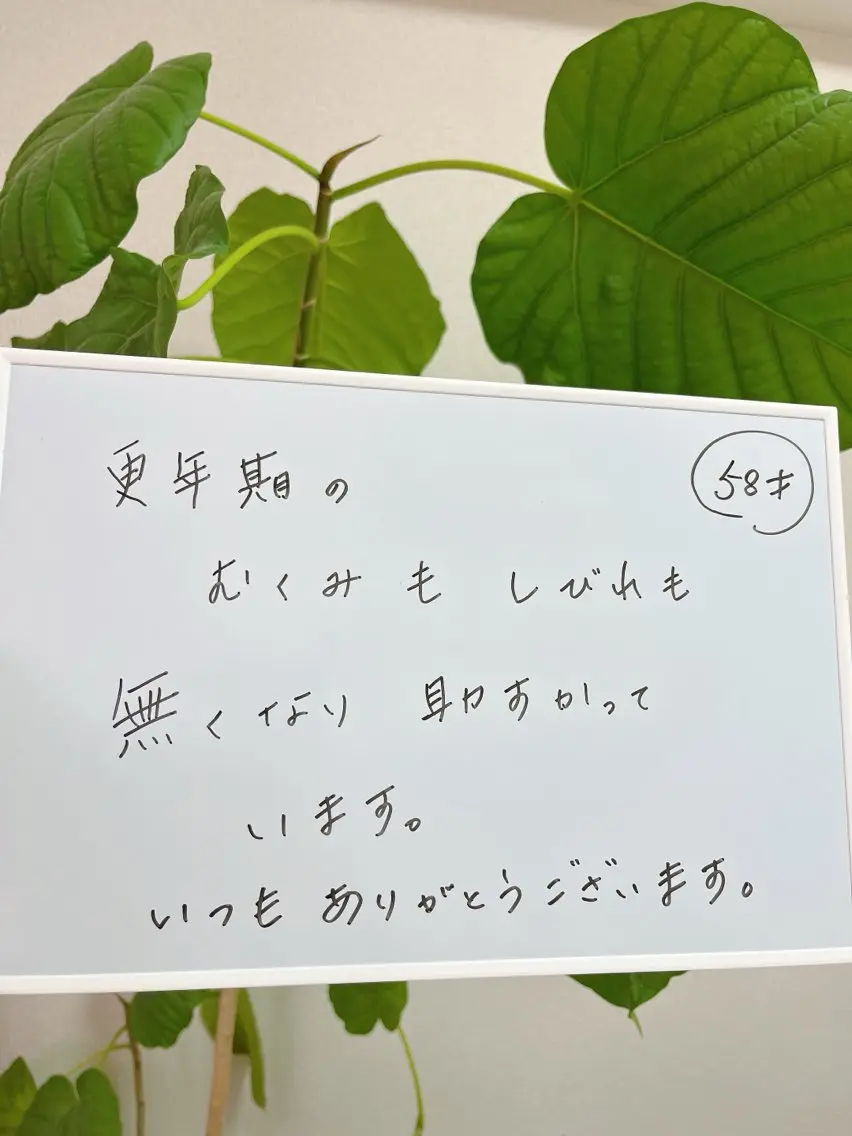 エステ リラク 隠れ家エステ chapoのエステ・リラクイメージ