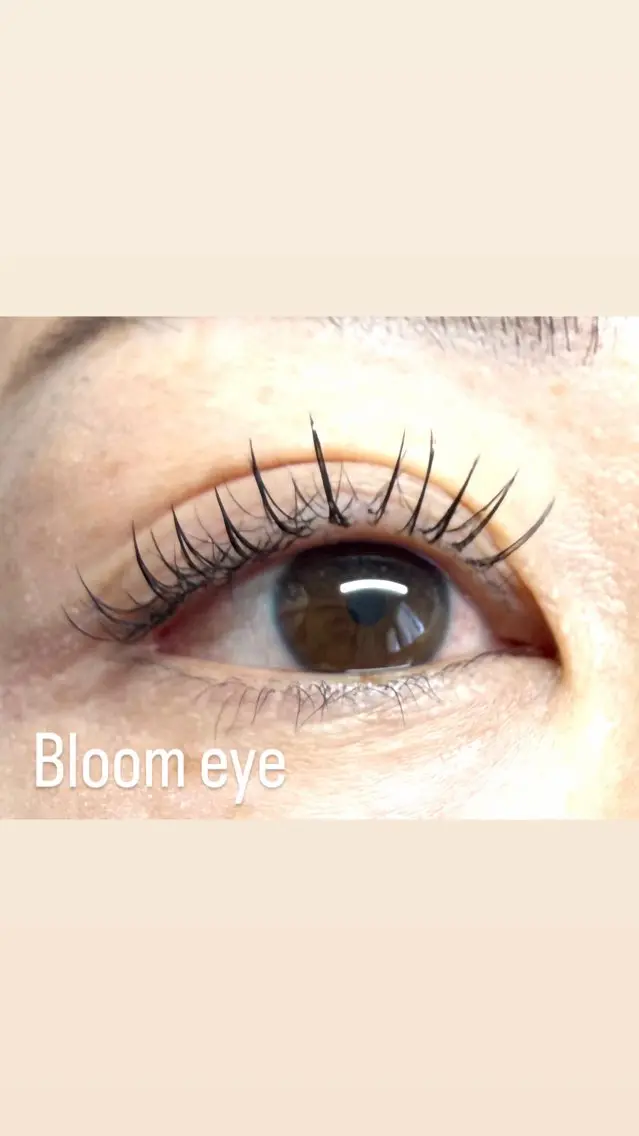 マツエク・マツパ フラットラッシュ Bloom eye 豊中 北緑丘の眉毛・アイブロウイメージ