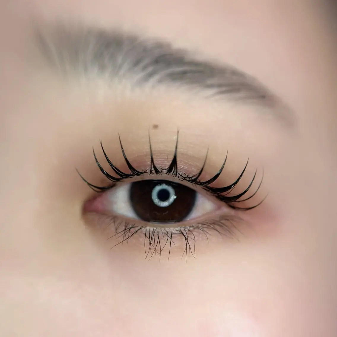 まつ毛パーマ🍑EYE SH&TR 付きの写真