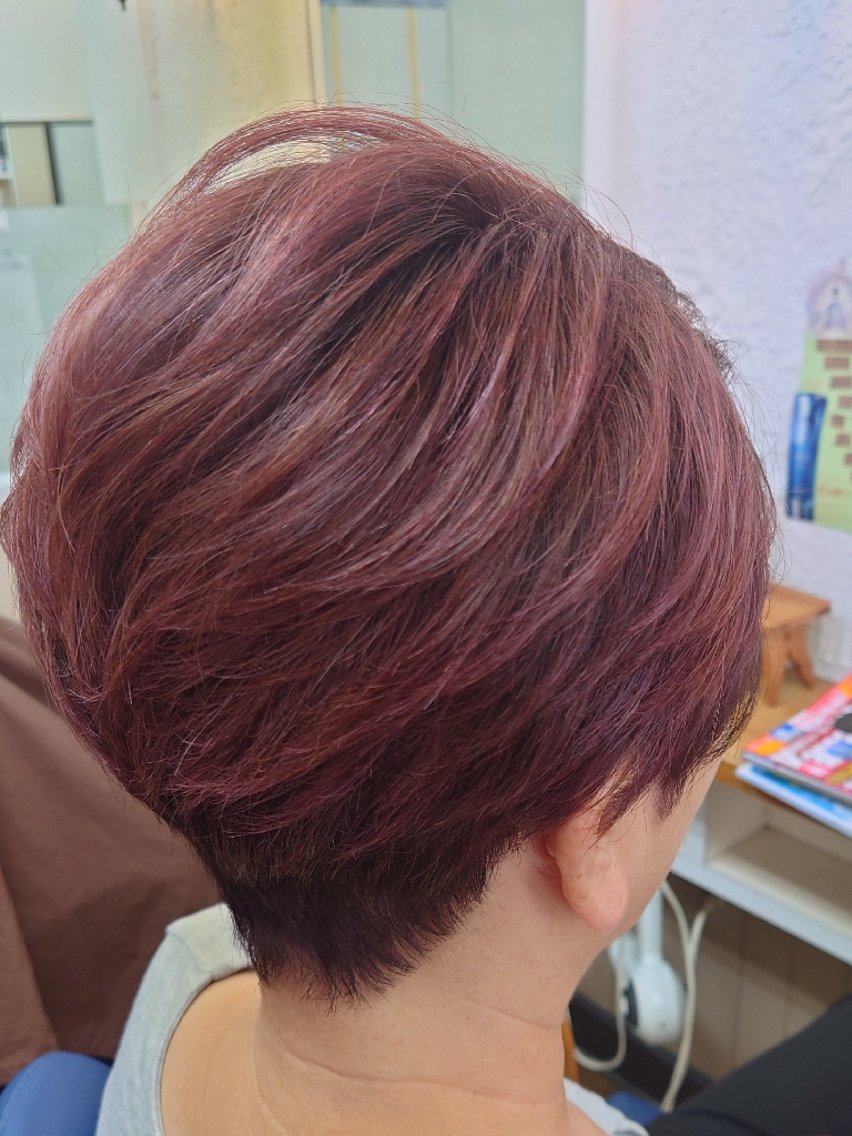 ショート カラー 森長 咲子のヘアスタイル