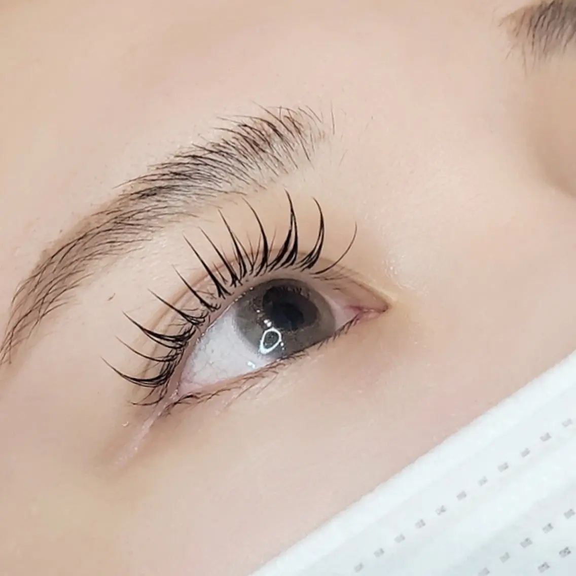 マツエク・マツパ フラットラッシュ eyelist 🌙ゆうのマツエク・マツパデザイン