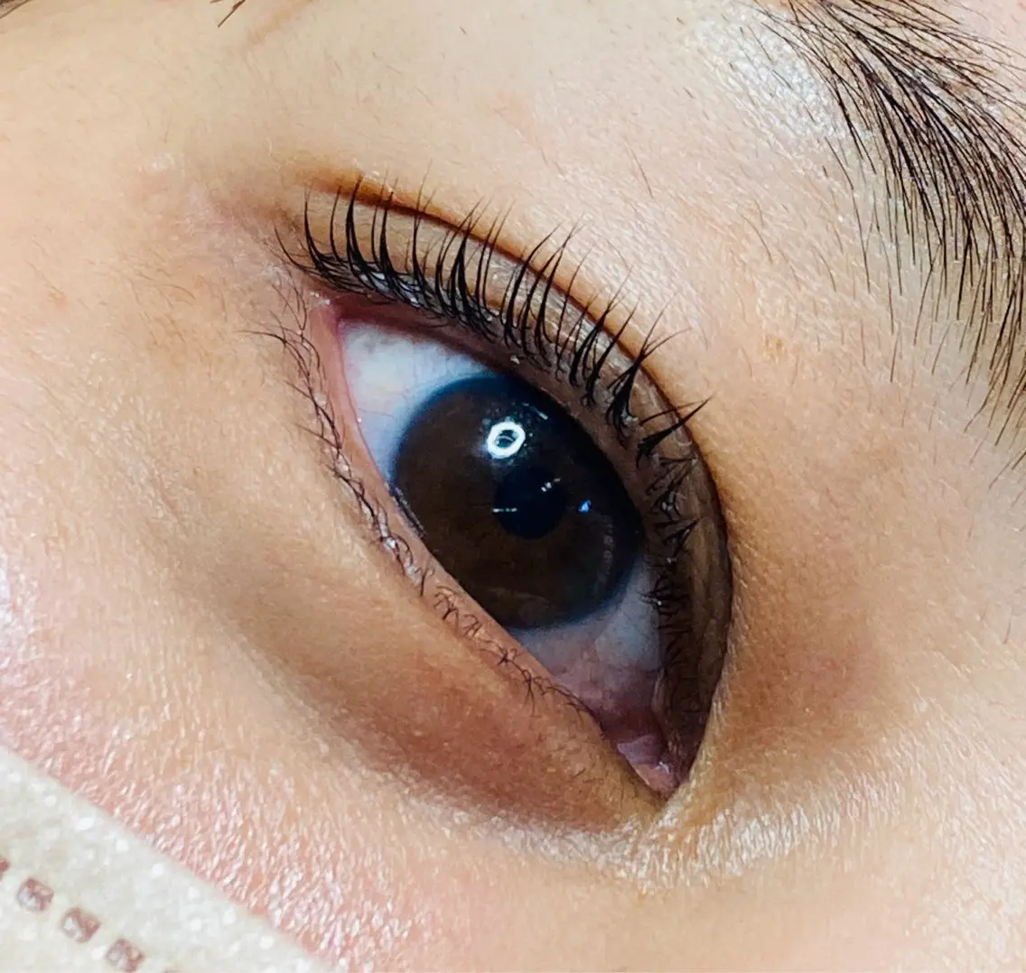パリジェンヌラッシュリフト・アイシャンプー付き🧴の写真