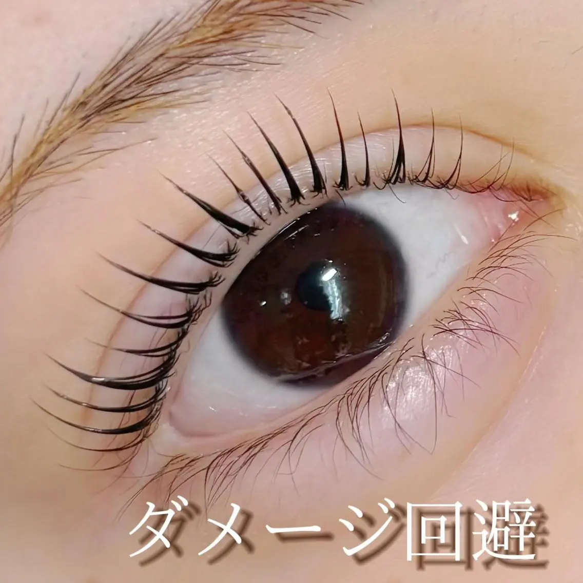 マツエク・マツパ Roco' Lush 一条のマツエク・マツパデザイン