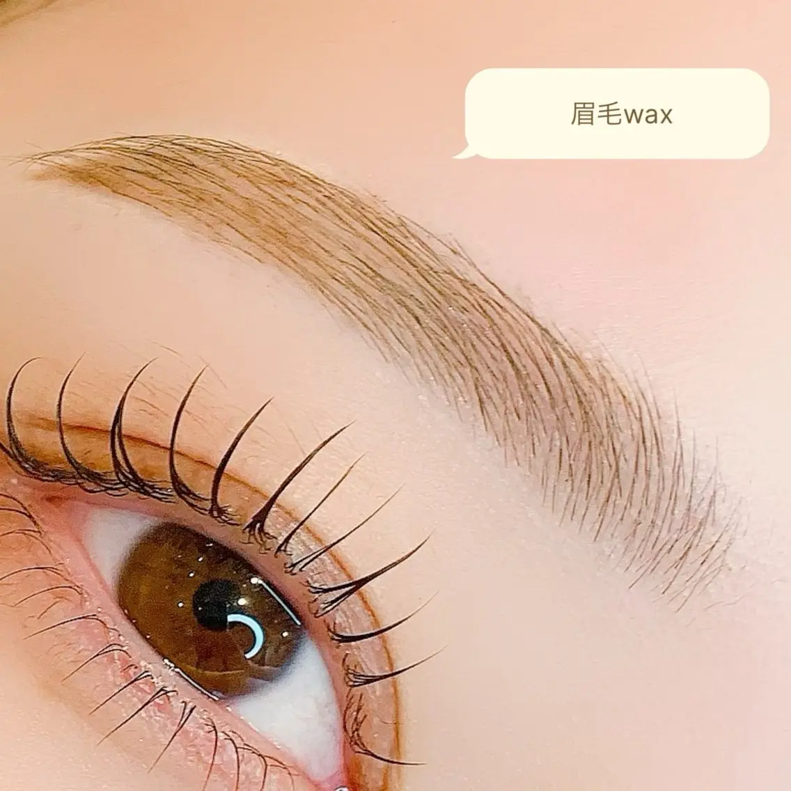 Tia浦和ご来店初めての方限定🪐眉毛WAX(毛量調整orカラー)メイク込みの写真