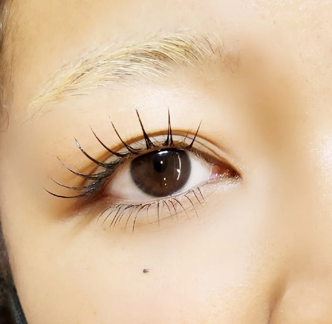 マツエク・マツパ 下まつげエクステ eyelash R𓇼eri🐈️の眉毛・アイブロウイメージ