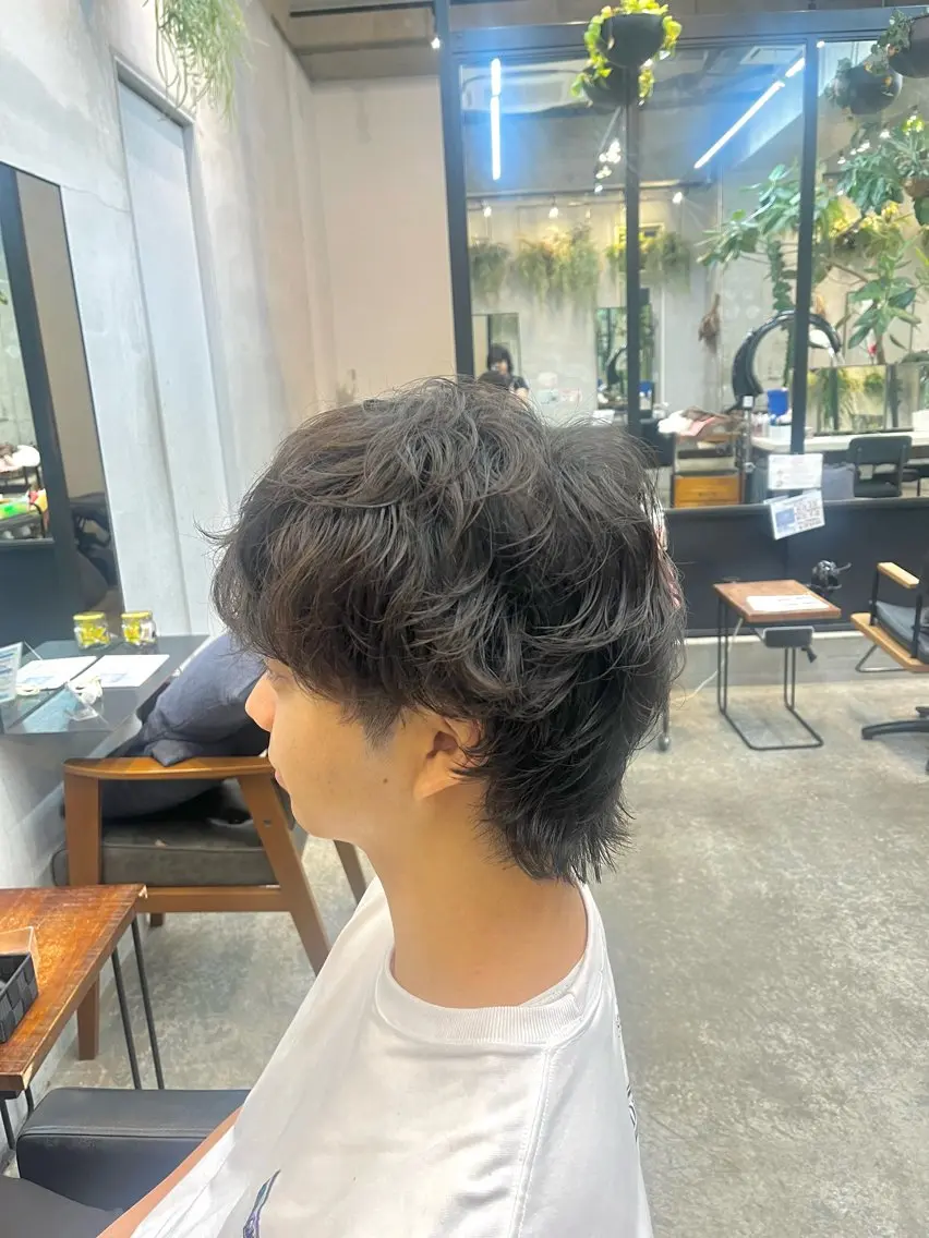 パーマ ウルフカット カット パーマ 東　　茉央/カラー/ パーマ🧸銀座のヘアスタイル