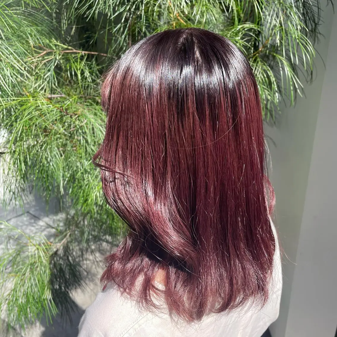 ミディアム ピンク・ベージュ🩰 カラー🫧とらのヘアスタイル
