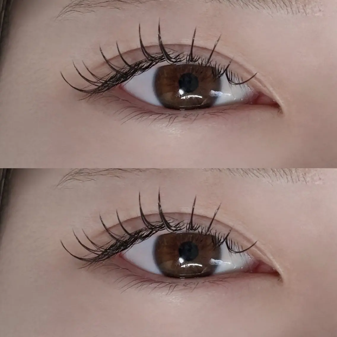 フラットマットラッシュ100本の写真