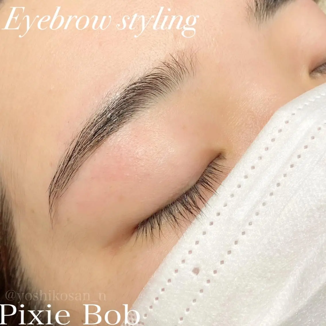 アイブロウ ワックス脱毛 眉カット その他(アイブロウ) Pixie Bob 🐈‍⬛　位田のマツエク・マツパデザイン