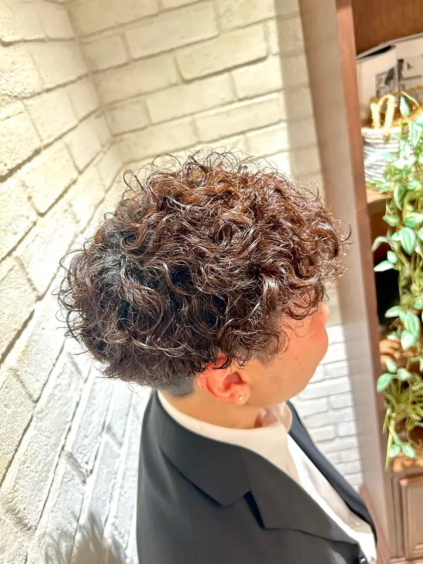 パーマ メンズ メンズパーマ プードルパーマ プードルパーマ カット パーマ 宇川 湧也のヘアスタイル