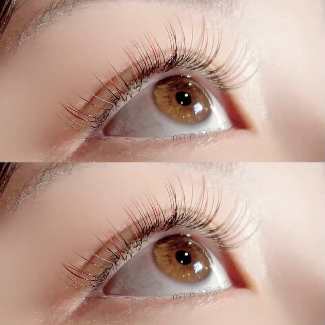 マツエク・マツパ マツエク 🦋MaaZ lash2🦋のエステ・リラクイメージ