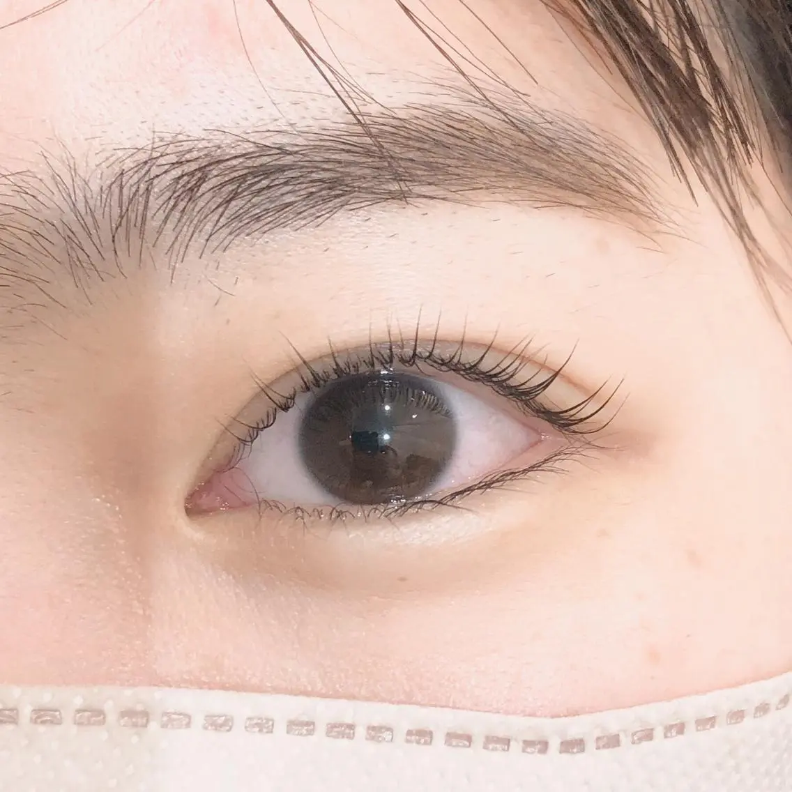 💫次世代パリジェンヌ+BK treatment付🐈⬛の写真