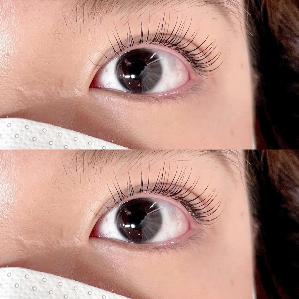 マツエク・マツパ パリジェンヌラッシュリフト マツパ eyelist🌼 asukaのマツエク・マツパデザイン