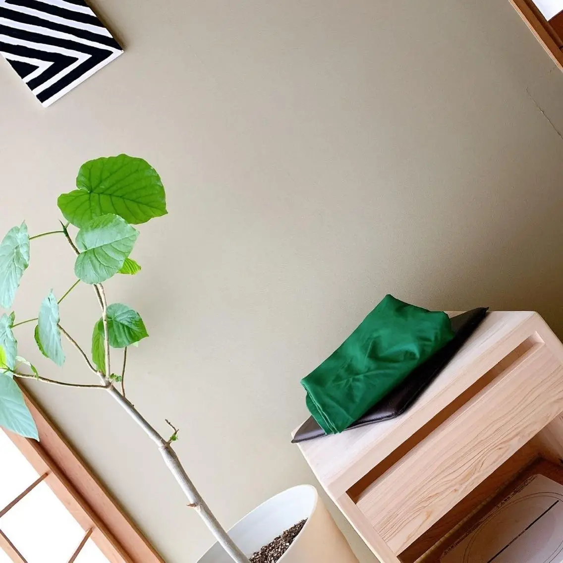 よもぎ蒸しの写真