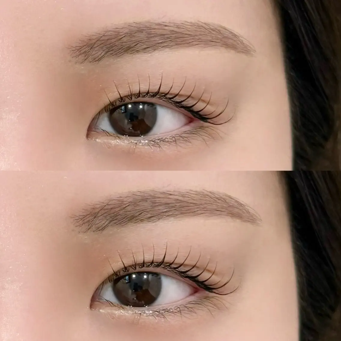 🌹人気No.2🌹眉スタイリング+まつ毛パーマ(上)(アイシャンプー付き)の写真