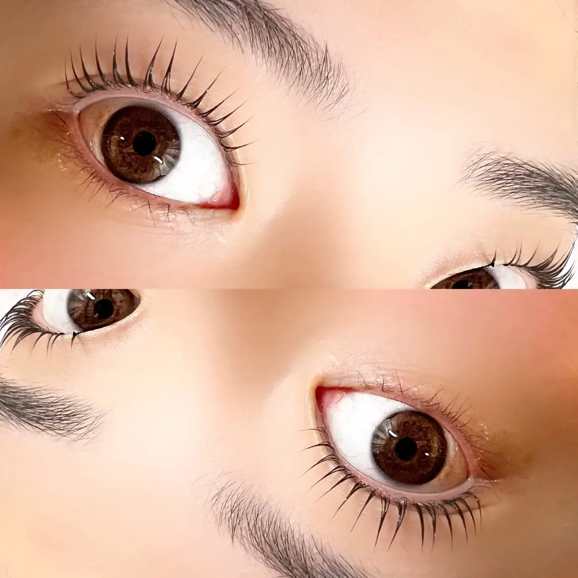 マツエク・マツパ パリジェンヌラッシュリフト 🩷 AYAKAの眉毛・アイブロウイメージ