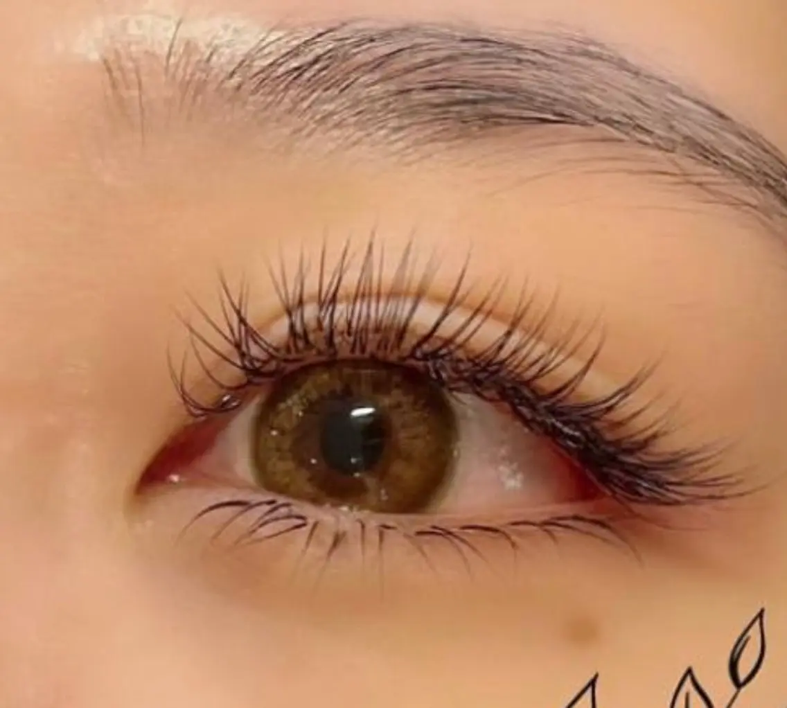 マツエク・マツパ Eye beauty JADOREのマツエク・マツパデザイン
