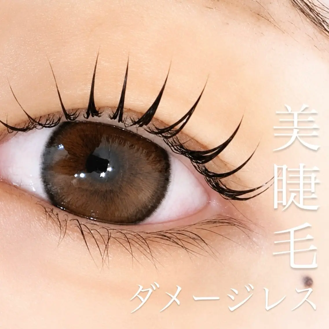当日予約OK🙆🏻♀️【持ち&ボリューム◎】まつげパーマ➕ケラチン配合Wトリートメントの写真