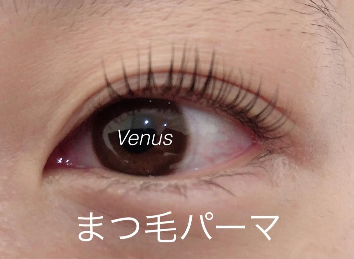 マツエク・マツパ eyelash catwinkのマツエク・マツパデザイン