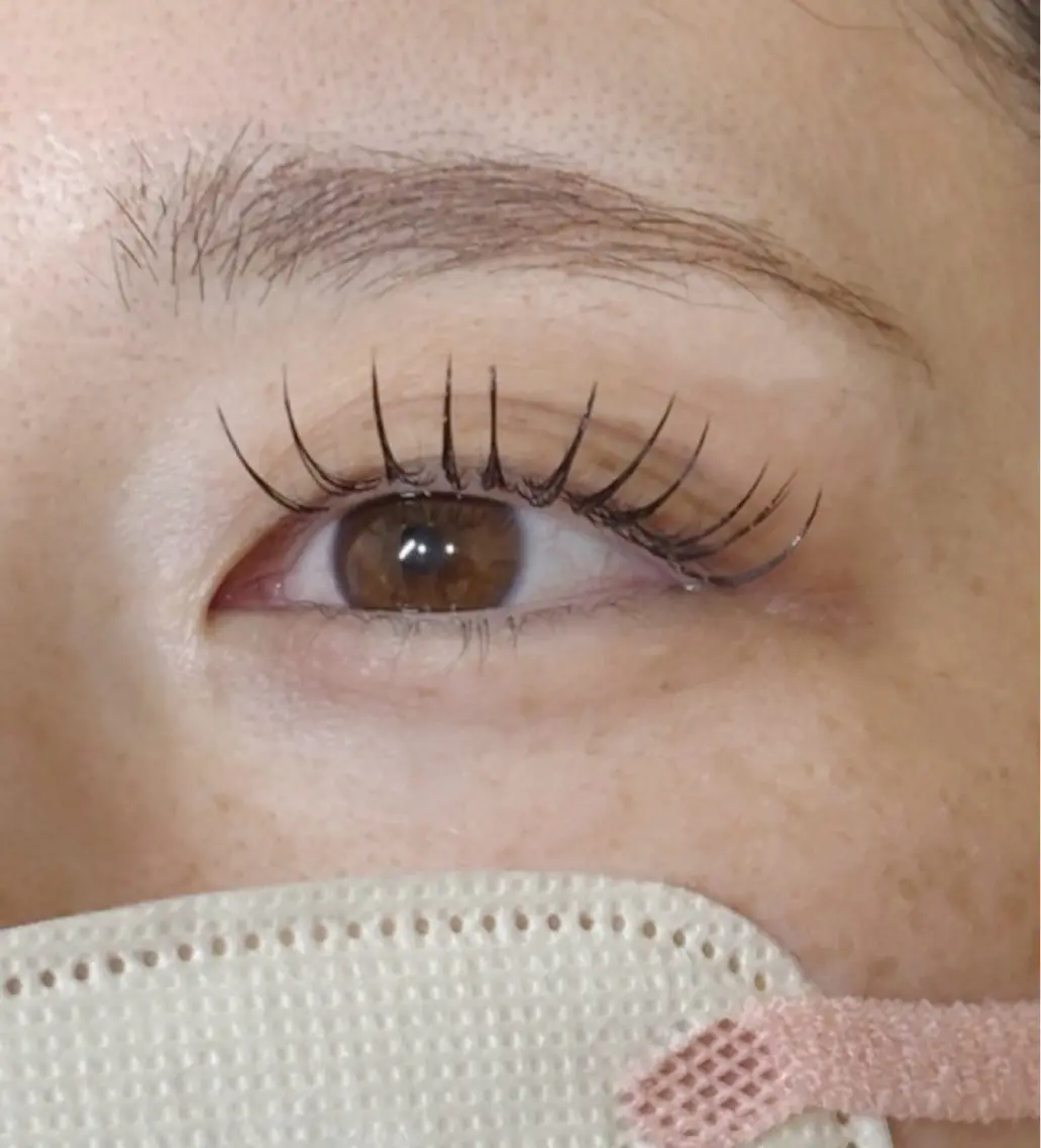 フラットラッシュ120本の写真