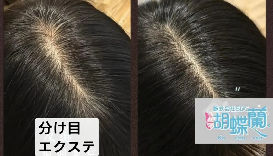 ヘアアレンジ エクステ エクステ 胡蝶蘭レディースサロ ン眉マツパエクステの眉毛・アイブロウイメージ