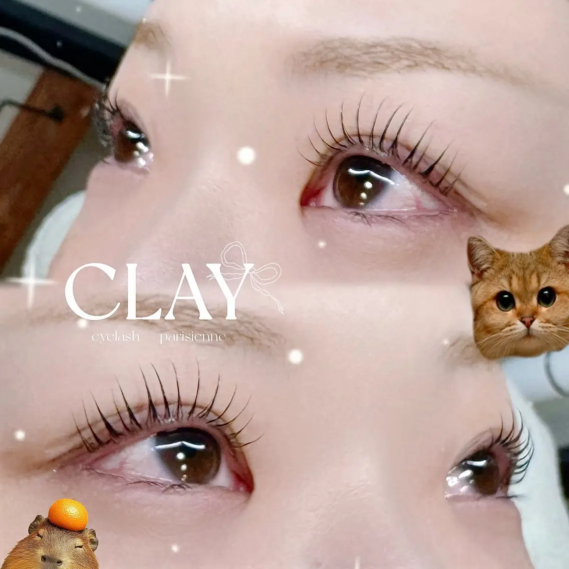 マツエク・マツパ マツパ 【CLAY新小岩】 airiのエステ・リラクイメージ