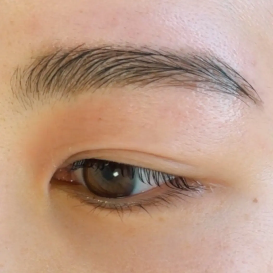 【話題の！⠀】眉 パーマ+眉waxスタイリングの写真