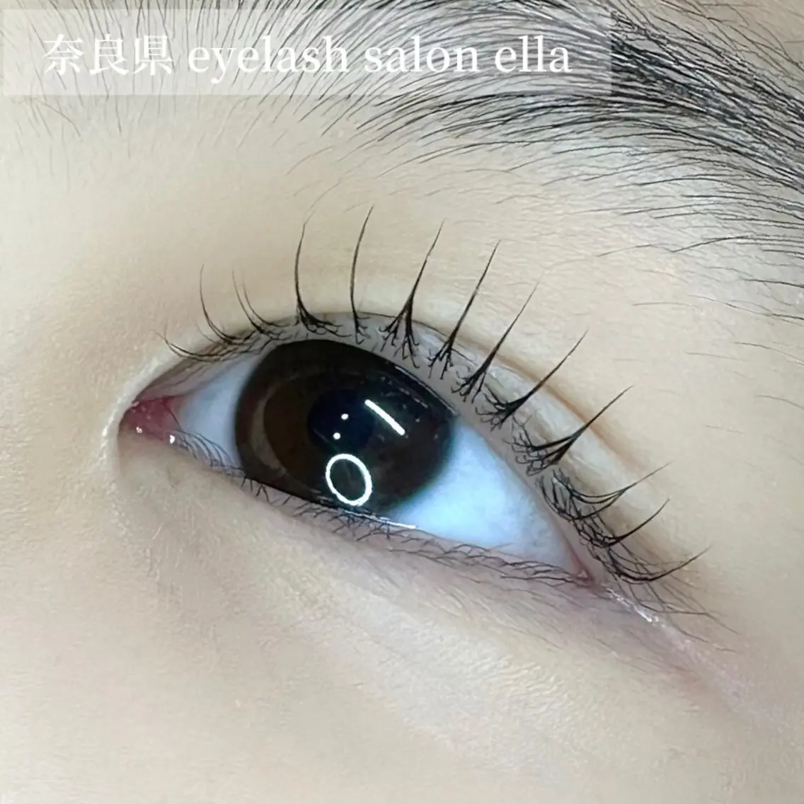 マツエク・マツパ ella eyelashのマツエク・マツパデザイン