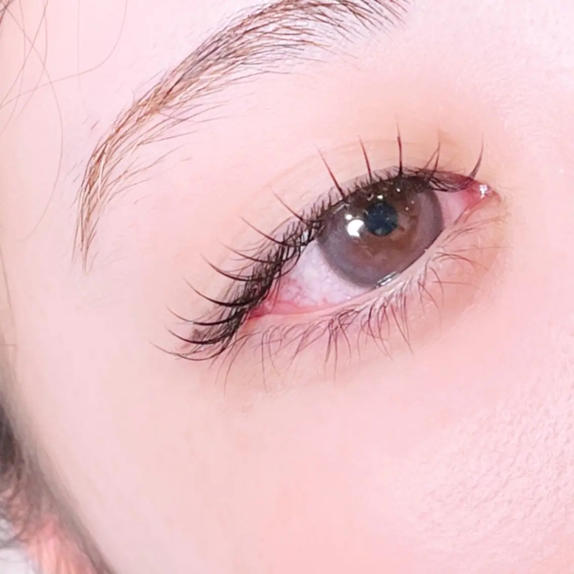 ✨初回オフ・コーティング無料✨【LEDエクステ】🎀マツエク100本🎀フラット、カラー➕550円の写真