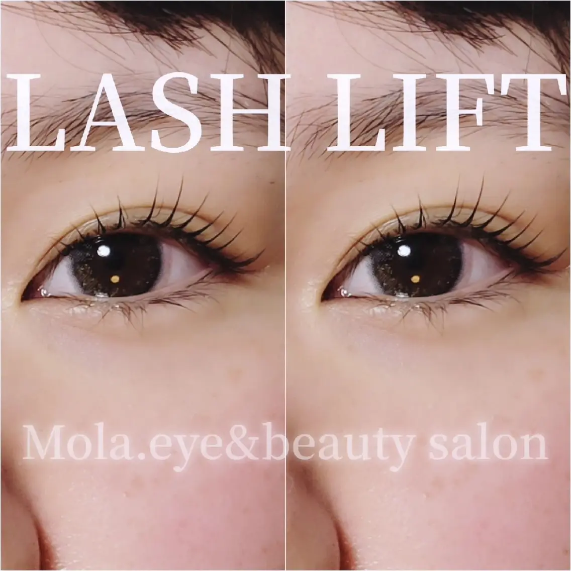 マツエク・マツパ 【Mola.】 eyelashのマツエク・マツパデザイン