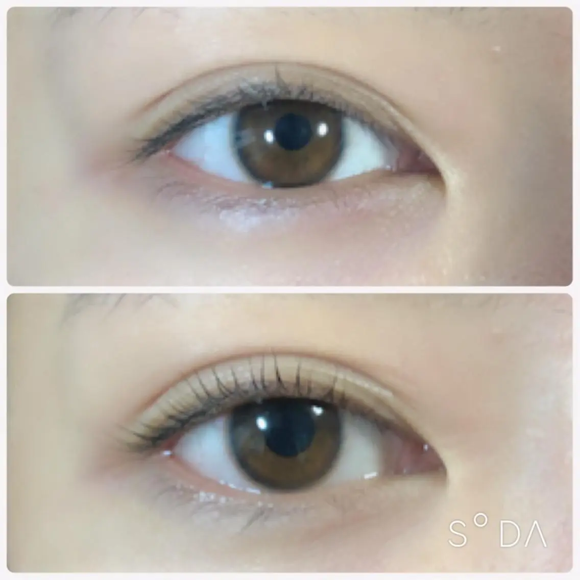 マツエク・マツパ sii. eyelashのマツエク・マツパデザイン