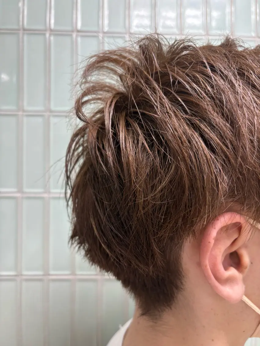 ショート カラー メンズ ブラウンカラー ヘーゼル 🌿新宿 カットモデル🫧のヘアスタイル