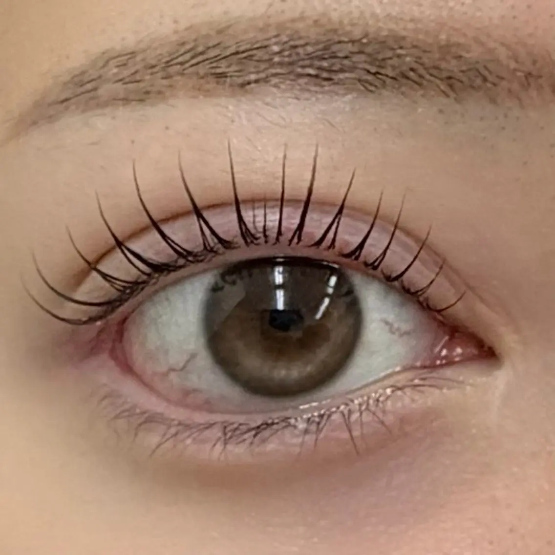Lash lift 🫧の写真