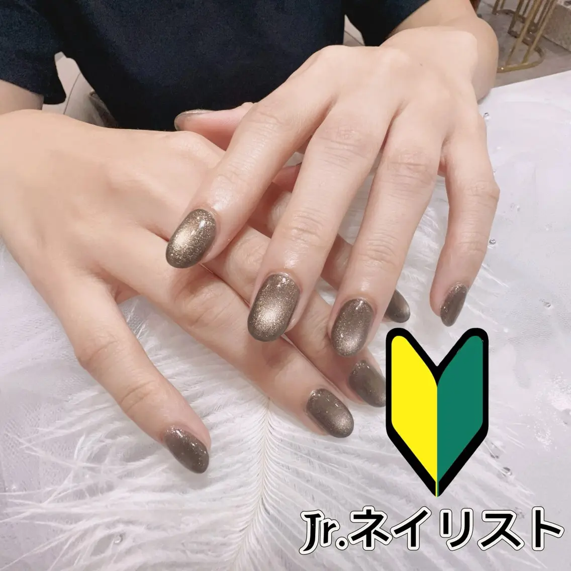 【HANDオフあり】マグネットワンカラーの写真