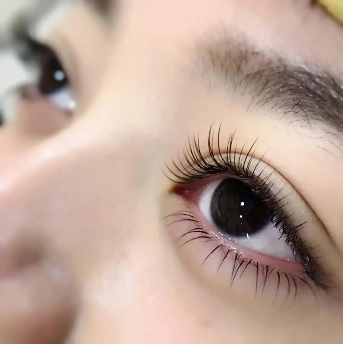 マツエク・マツパ 下まつげエクステ LiTA  中央橋店 NIINOの眉毛・アイブロウイメージ