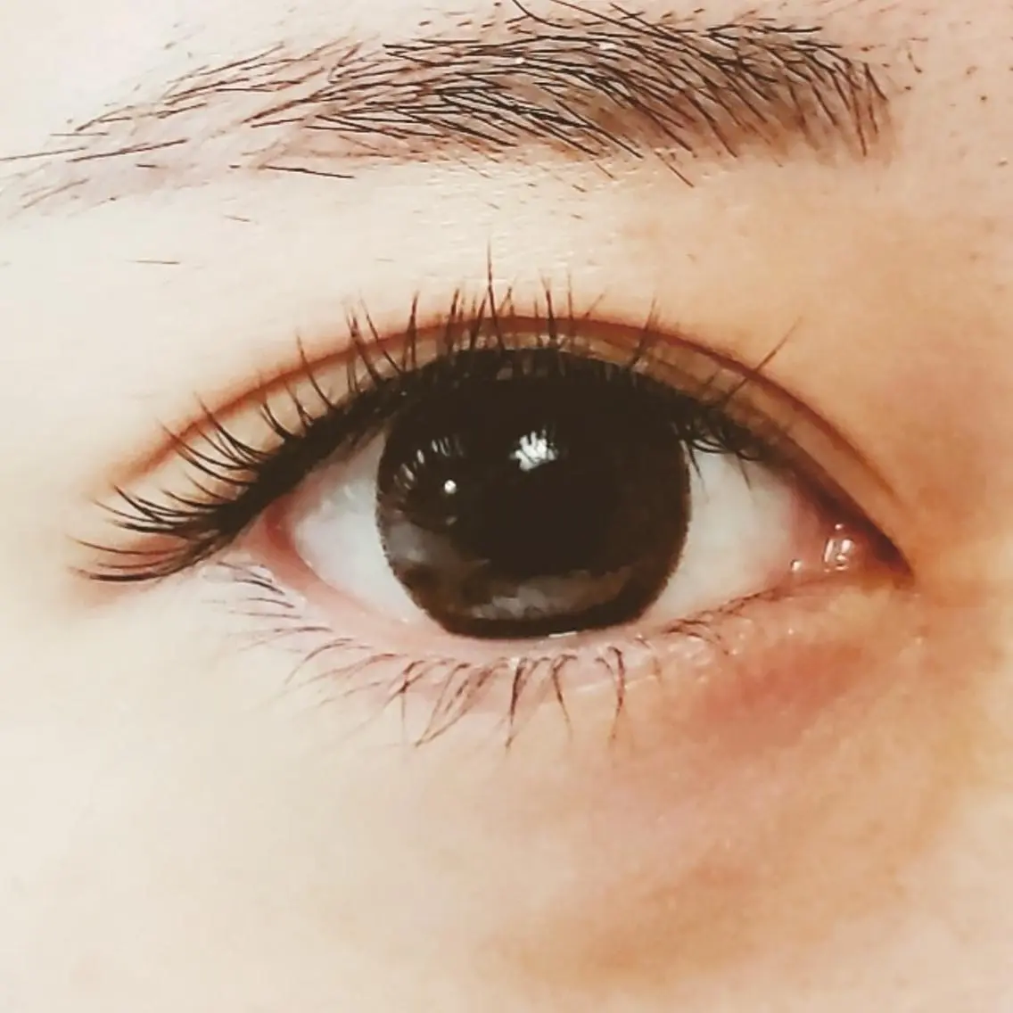人気NO.3✨️【ミニモ限定】まつげパーマ　トリートメント付の写真