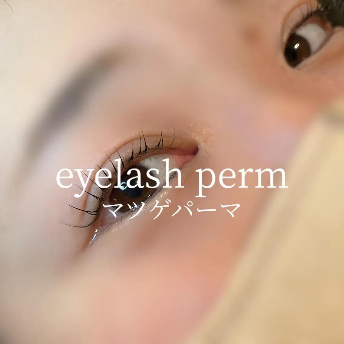 セミロング カラー ヘアアレンジ マツエク・マツパ セミロングパーマ 韓国風マツエク パリジェンヌラッシュリフト 一重×まつ毛パーマ 韓国風ヘア 🍓Rei naのマツエク・マツパデザイン