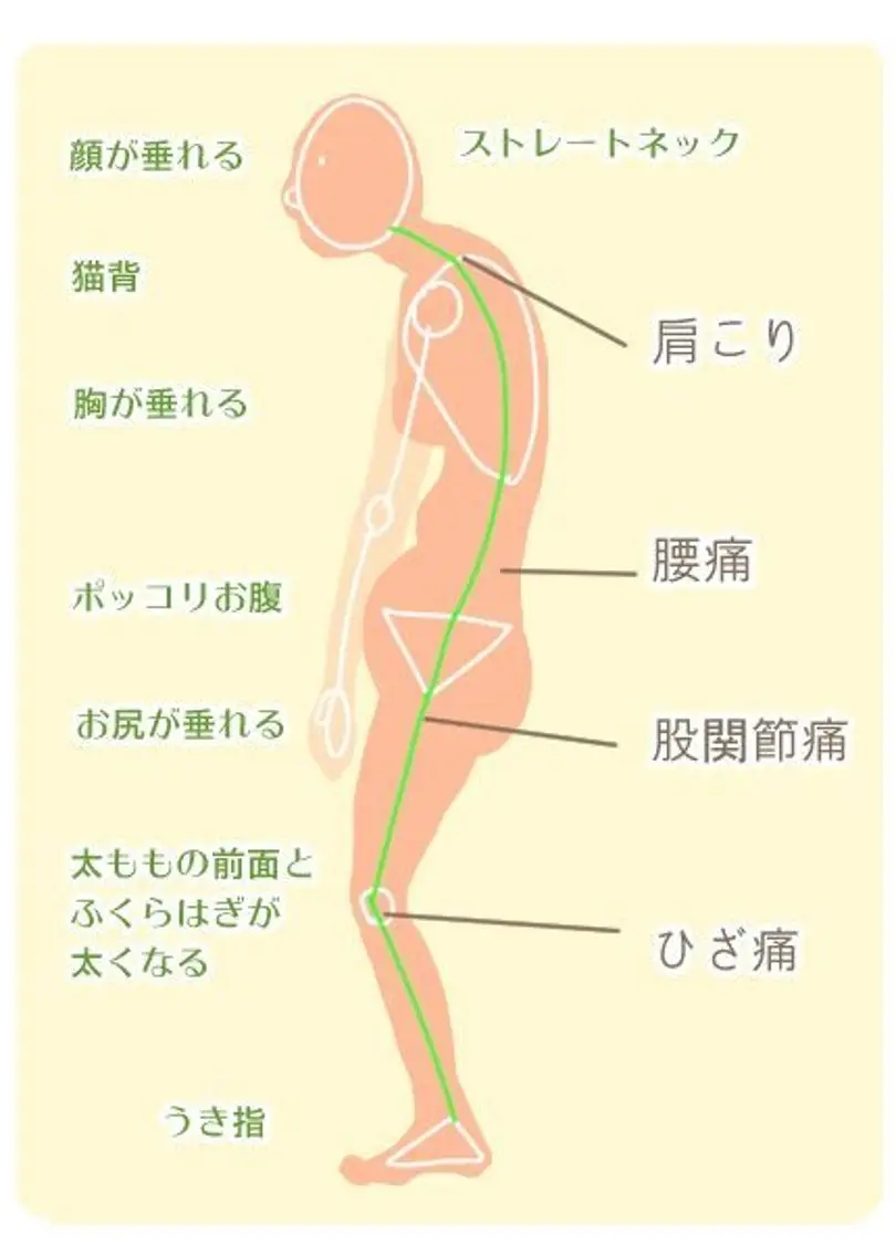 連動整体(デコルテマッサージつき)の写真